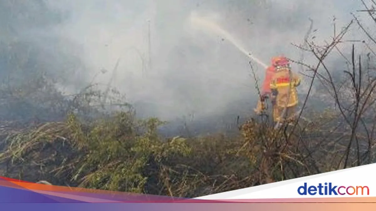 Sebanyak 254 Personel Manggala Agni Tercatat dalam Operasi Karhutla Sumsel